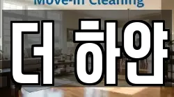 더 하얀