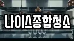 나이스종합청소