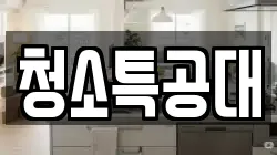 청소특공대