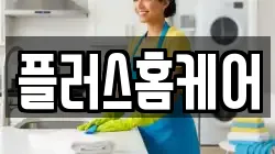 플러스홈케어