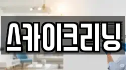 스카이크리닝