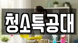 청소특공대