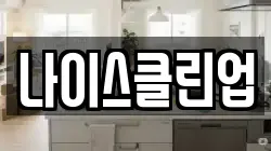 나이스클린업