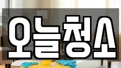 오늘청소