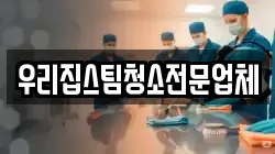 우리집스팀청소전문업체
