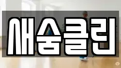 새숨클린