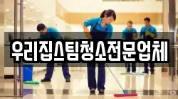 우리집스팀청소전문업체