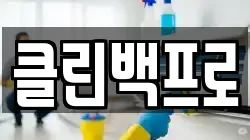 클린백프로