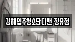김해입주청소단디맨 장유점
