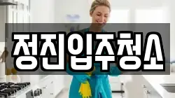 정진입주청소