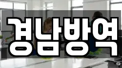 경남방역