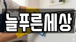 늘푸른세상