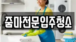 줌마전문입주청소