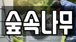 숲속나무