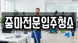 줌마전문입주청소