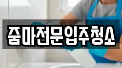 줌마전문입주청소
