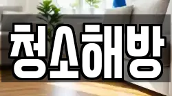 청소해방