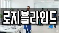 로지블라인드