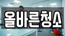 올바른청소