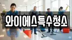와이에스특수청소