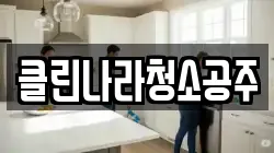 클린나라청소공주