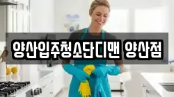 양산입주청소단디맨 양산점