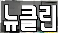 뉴클린