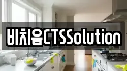 비치움CTSSolution