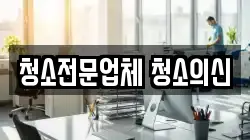 청소전문업체 청소의신