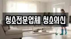 청소전문업체 청소의신
