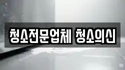 청소전문업체 청소의신