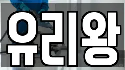 유리왕