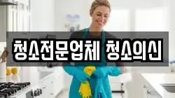 청소전문업체 청소의신