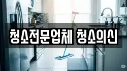청소전문업체 청소의신