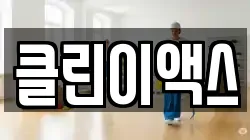 클린이액스