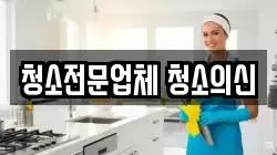 청소전문업체 청소의신
