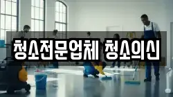 청소전문업체 청소의신