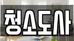 청소도사