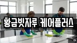 황금빗자루 케어플러스