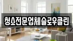 청소전문업체슬로우클린