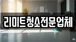 리미트청소전문업체