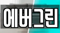 에버그린
