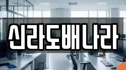 신라도배나라