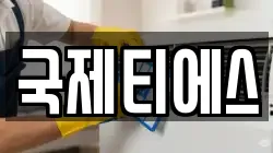 국제티에스