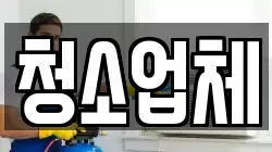 청소업체