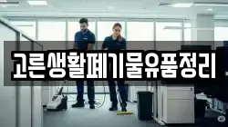 고른생활폐기물유품정리