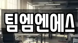 팀엠엔에스