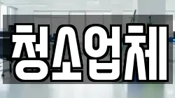 청소업체