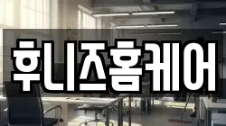 후니즈홈케어