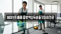 세이브프롬해충방역소독비둘기퇴치전문